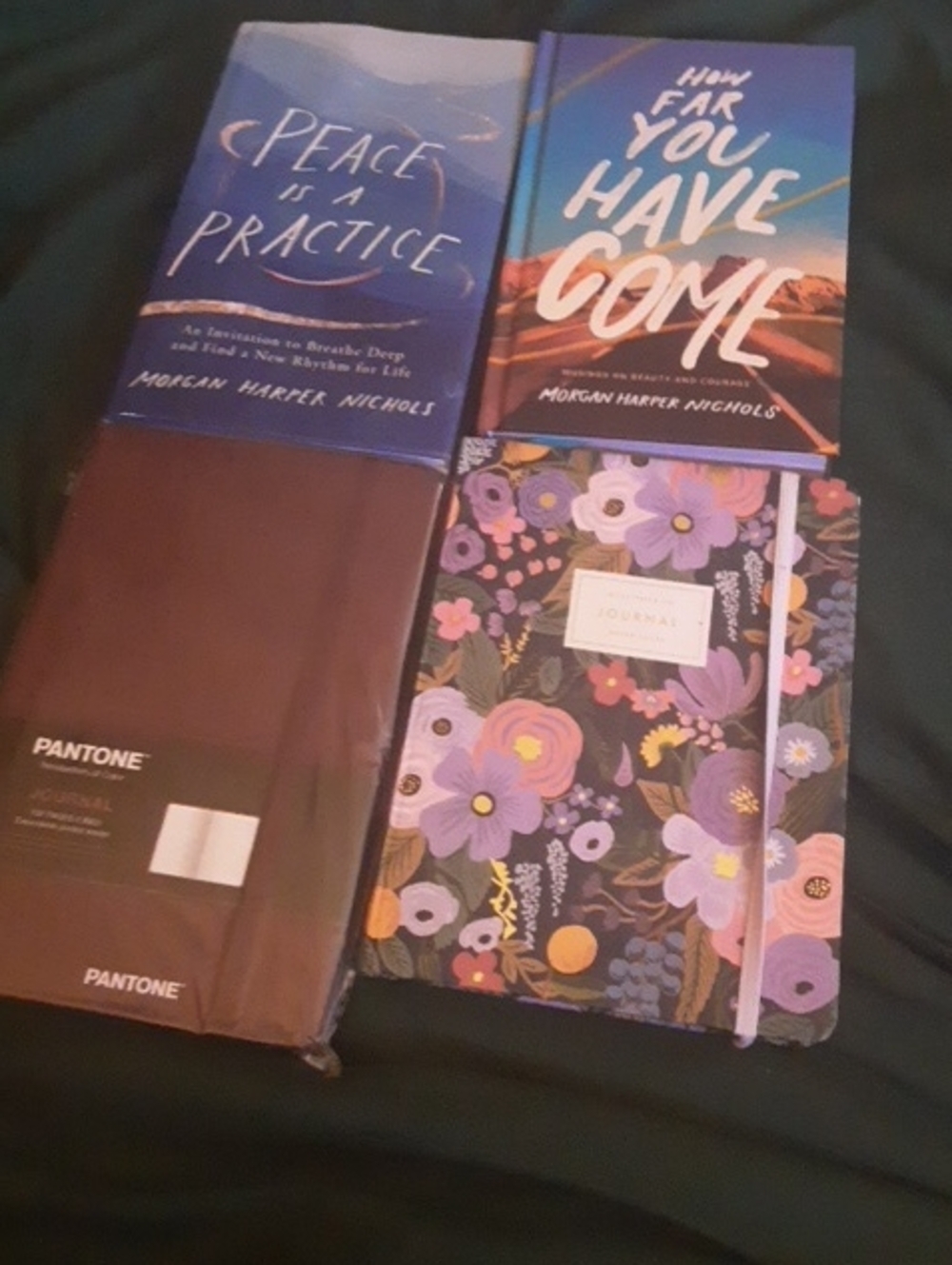 Morgan Harper Nichols Books Plus 2 Journals
